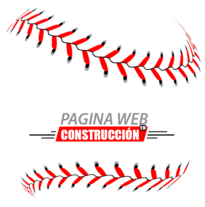 Pagina en Construcción